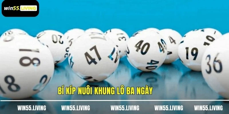 Bí kíp nuôi khung lô ba ngày