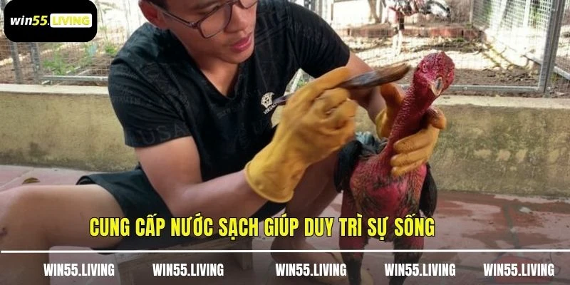 Cung cấp nước sạch giúp duy trì sự sống