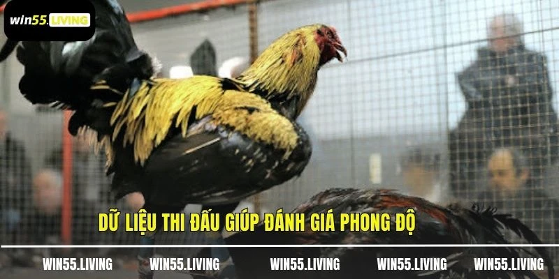 Dữ liệu thi đấu giúp đánh giá phong độ