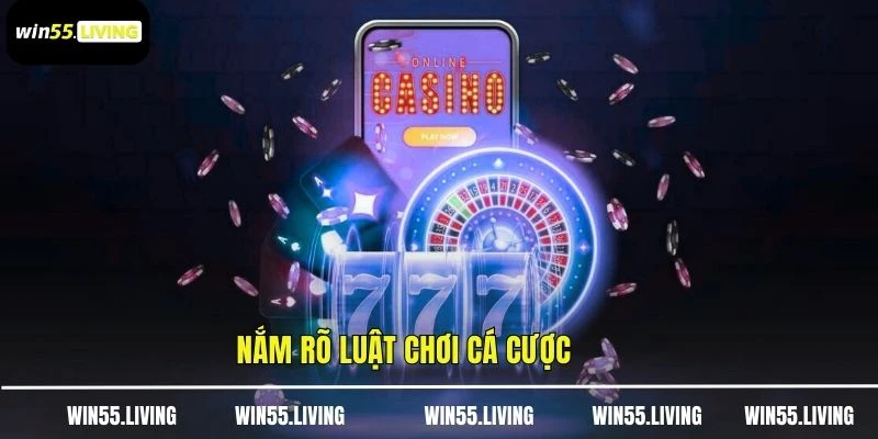 Nắm rõ luật chơi cá cược