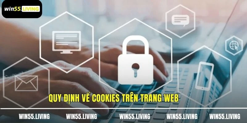 Quy định về cookies trên trang web