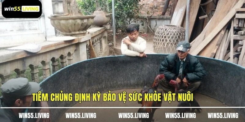 Tiêm chủng định kỳ bảo vệ sức khỏe vật nuôi